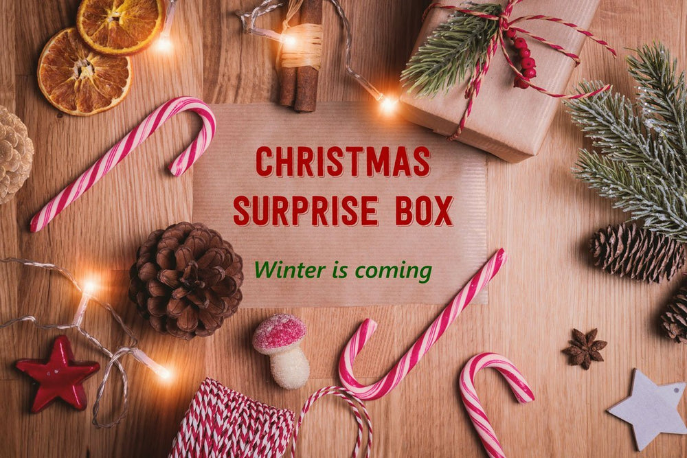 Christmas Surprise Box - Vorverkauf bis 30.11.2020 - B.TEALY