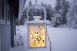 Winter Wonder BIO Teebox - Nur noch Restbestände - B.TEALY